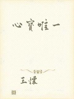 心宝唯一