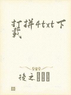 打拼4txt下载