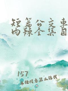短篇公交车高h肉辣全集目录