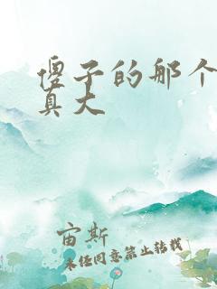 傻子的那个东西真大