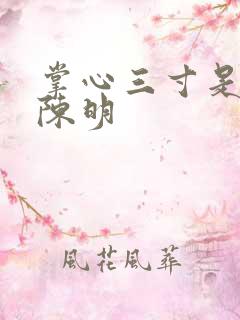 掌心三寸是人间陈明