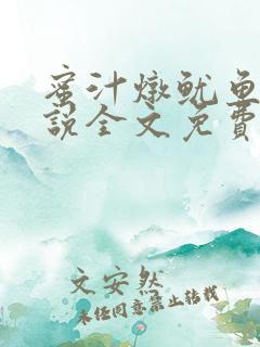 蜜汁炖鱿鱼2小说全文免费阅读
