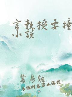 言教授要撞坏了小说