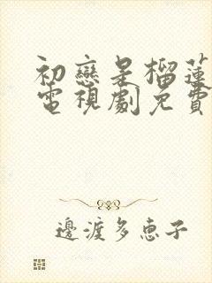 初恋是榴莲先生电视剧免费观看