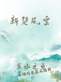 新楚风云