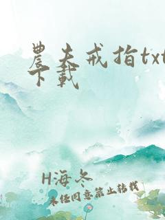 农夫戒指txt下载