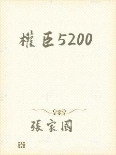 权臣5200