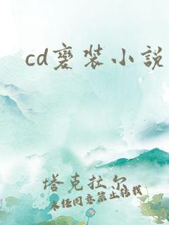 cd变装小说