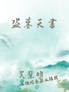 盗墓天书
