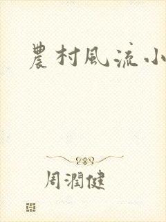 农村风流小说
