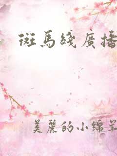 斑马线广播剧