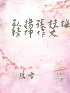 弘扬张桂梅伟大精神作文