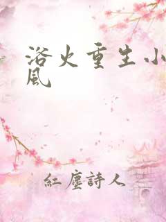 浴火重生小说陈风