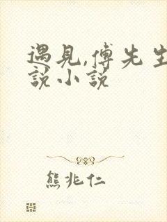 遇见,傅先生小说小说