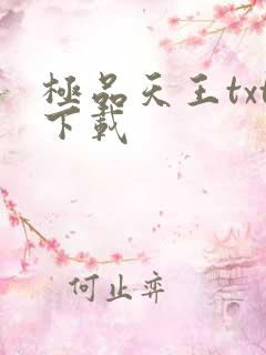 极品天王txt下载