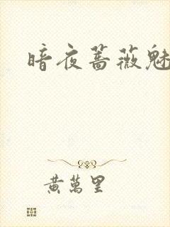 暗夜蔷薇魅