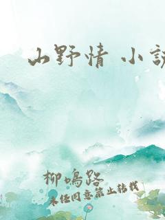 山野情 小说