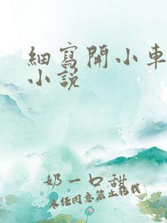 细写开小车车的小说