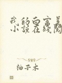 我的白富美老婆小说在线阅读免费