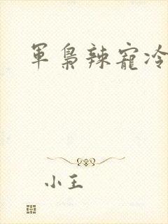 军枭辣宠冷妻