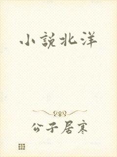 小说北洋
