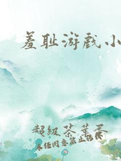 羞耻游戏小说
