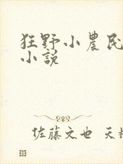 狂野小农民完整小说