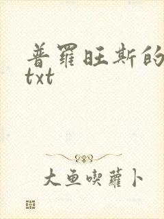 普罗旺斯的一年txt
