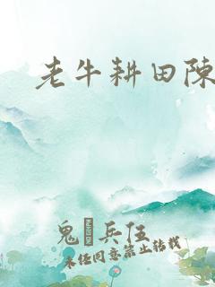 老牛耕田陈雪