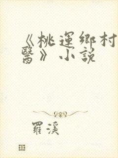 《桃运乡村小神医》小说