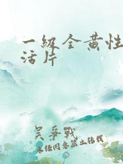一级全黄性色生活片