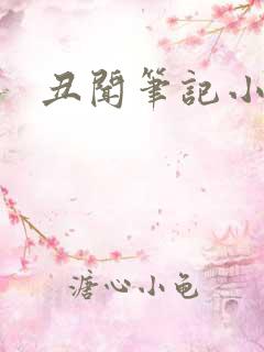 丑闻笔记小说