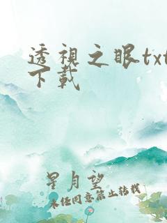 透视之眼txt下载