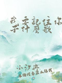 我要记住你的样子什么歌
