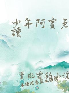 少年阿宾免费阅读