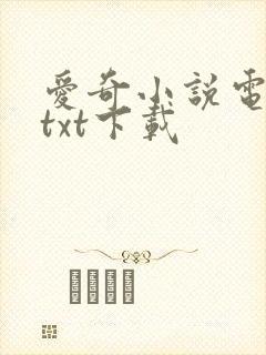爱奇小说电子书txt下载