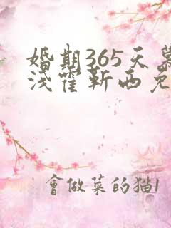 婚期365天慕浅霍靳西免费阅读