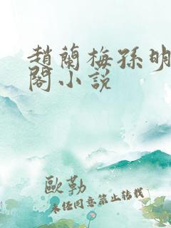 赵兰梅孙明笔趣阁小说