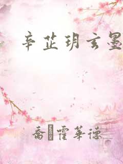 辛芷玥玄墨小说