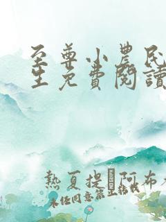 至尊小农民王木生免费阅读