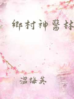 乡村神医林天