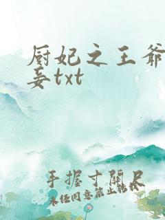 厨妃之王爷请纳妾txt