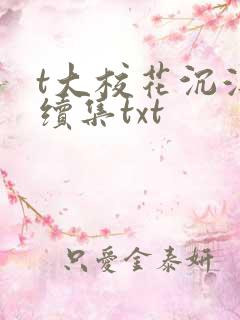 t大校花沉浮录续集txt