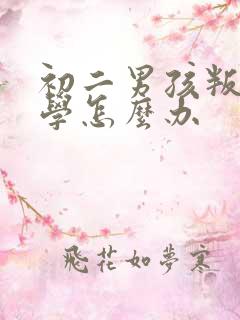 初二男孩叛逆上学怎么办