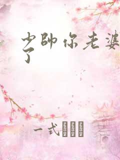 少帅你老婆又跑了