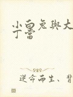 小白兔与大灰狼丁当
