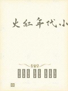 火红年代小说