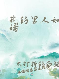 我的男人如此多娇