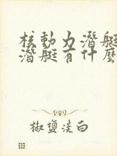 核动力潜艇和核潜艇有什么区别