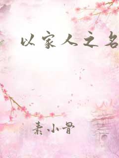 以家人之名原著